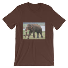 Endangered Species t-shirt