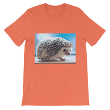 Hedgehog t-shirt