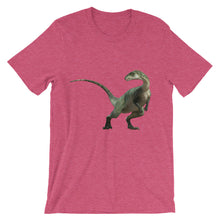 Dinosaur t-shirt