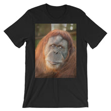 Endangered Species t-shirt