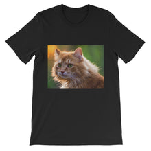 Cat t-shirt