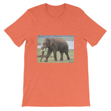 Endangered Species t-shirt