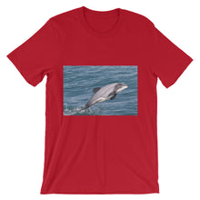 Endangered Species t-shirt