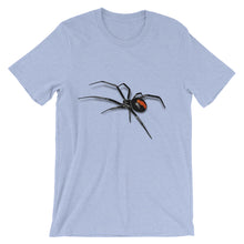 Black Widow Spider t-shirt