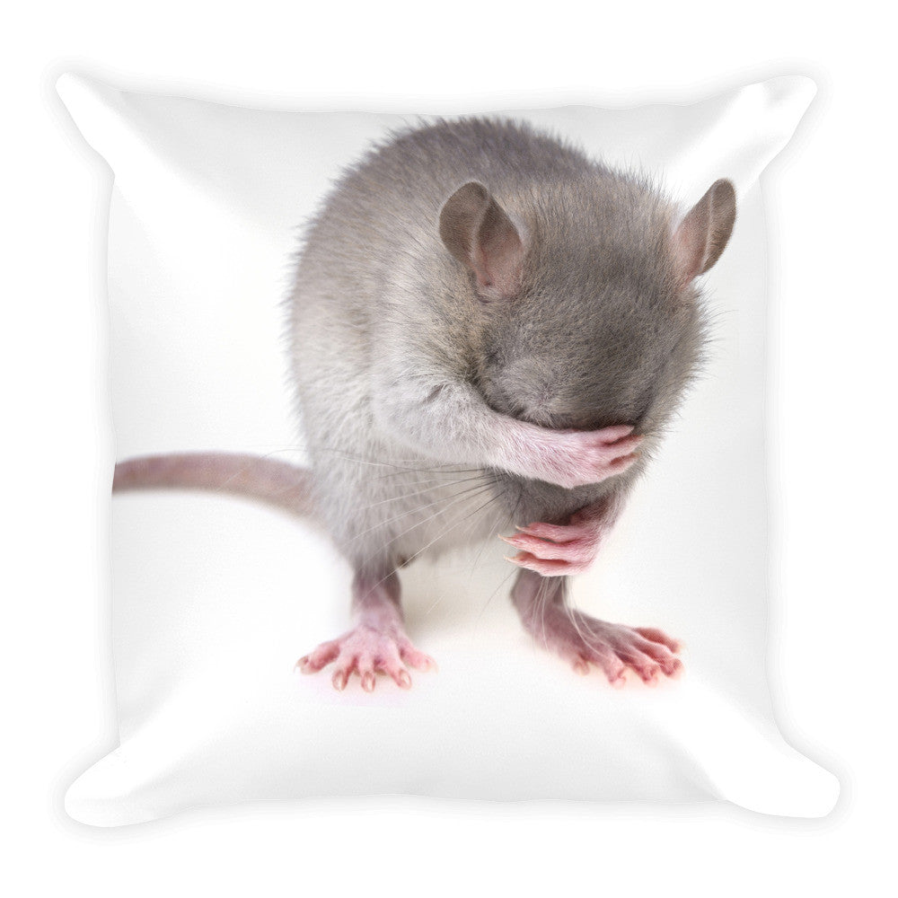 Mouse Pillow