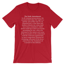 Sixth Amendment t-shirt