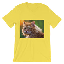 Cat t-shirt