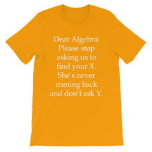 Dear Algebra t-shirt