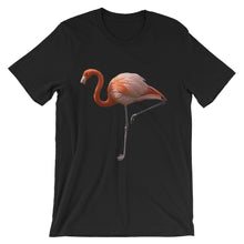 Flamingo t-shirt