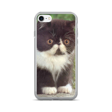 Kitten iPhone 7/7 Plus Case