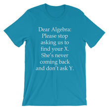 Dear Algebra t-shirt