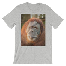 Endangered Species t-shirt
