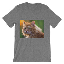 Cat t-shirt