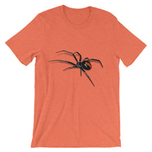 Black Widow Spider t-shirt