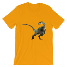 Dinosaur t-shirt