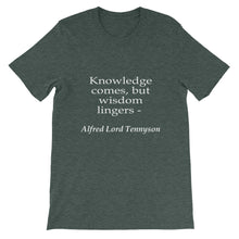 Wisdom Lingers t-shirt