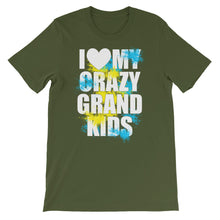 I Love My Crazy Grandkids t-shirt