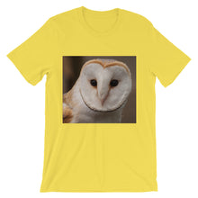 Owl t-shirt