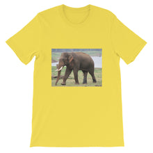 Endangered Species t-shirt