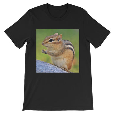 Chipmunk t-shirt