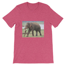 Endangered Species t-shirt