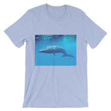 Endangered Species t-shirt