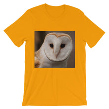 Owl t-shirt