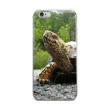 Turtle iPhone 5/5s/Se, 6/6s, 6/6s Plus Case