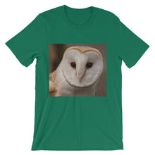 Owl t-shirt