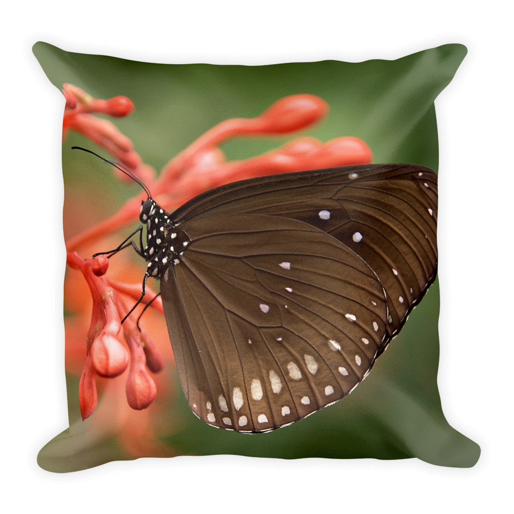 Butterfly Pillow