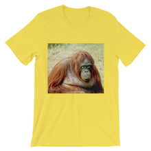 Endangered Species t-shirt