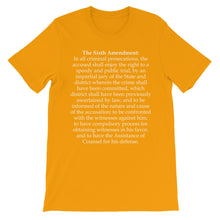 Sixth Amendment t-shirt