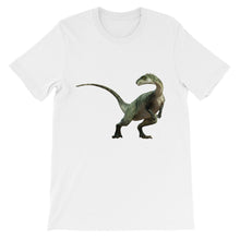 Dinosaur t-shirt