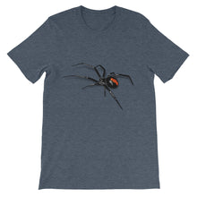 Black Widow Spider t-shirt