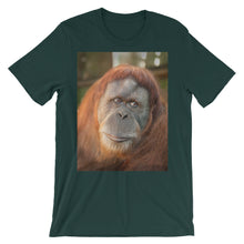 Endangered Species t-shirt