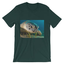 Endangered Species t-shirt