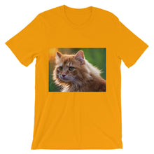 Cat t-shirt