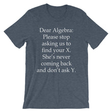 Dear Algebra t-shirt