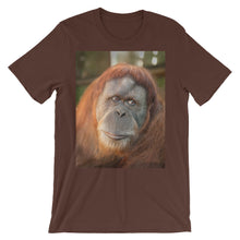 Endangered Species t-shirt