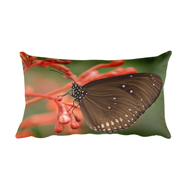 Butterfly Pillow