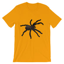 Tarantula t-shirt