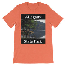 Allegany State Park t-shirt