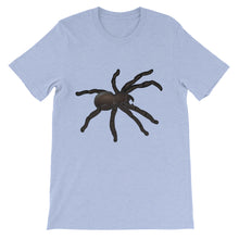 Tarantula t-shirt