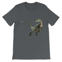 Dinosaur t-shirt