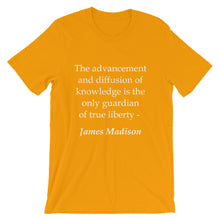 The only guardian of true liberty t-shirt