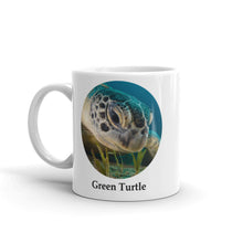 Green Turtle Mug