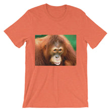 Endangered Species t-shirt