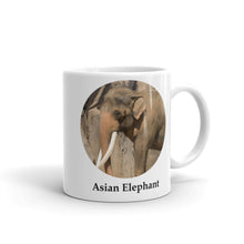 Asian Elephant Mug