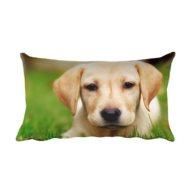 Puppy Pillow