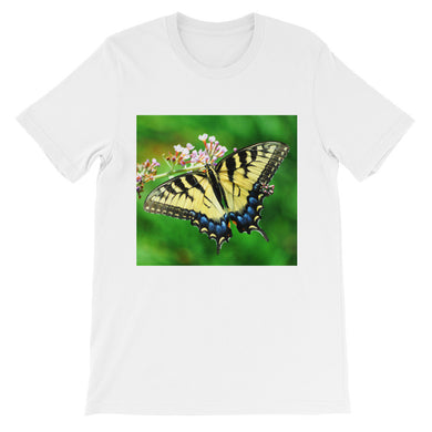 Butterfly t-shirt